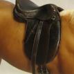 Dressage saddle